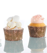 Смесь для традиционных европейских маффинов, кексов, пирожных Прома Маффин Концентрат Триэр, 25 кг