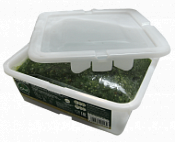 Салат из маринованных водорослей ЧУКА 1/2 кг Салат из маринованных водорослей ЧУКА 1/2 кг