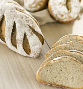 Закваска Аграм светлая "Ирекс", 25 кг