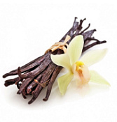 Ароматизатор Ваниль Триэр, 1 кг