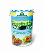 Масло фритюрное FRIGGITUTTO