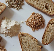 Смесь хлебобулочная Пшеничная с полбой Концентрат 1, Ирекс, 25 кг