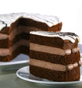 Смесь для бисквита Шоко Бисквит "Триэр", 25 кг