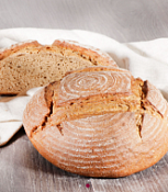 Смесь хлебобулочная Бородино Экстра "Ирекс", 25 кг