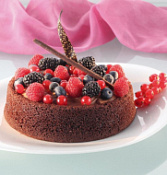 Смесь для бисквитов, кексов, маффинов со вкусом шоколада Шоко-рюр Ирекс, 5 кг