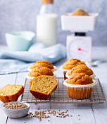 Смесь д/ля мучных кондитерских изделий Астри кекс Конопляный, Ирекс, 25 кг.