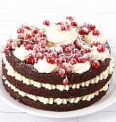 Смесь для бисквита Мелла бисквит с какао "Триэр", 25 кг