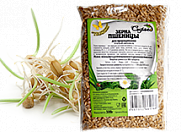 Зёрна для проращивания оптом