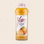 Сок апельсиновый YAN