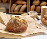 Закваски и подкислители оптом